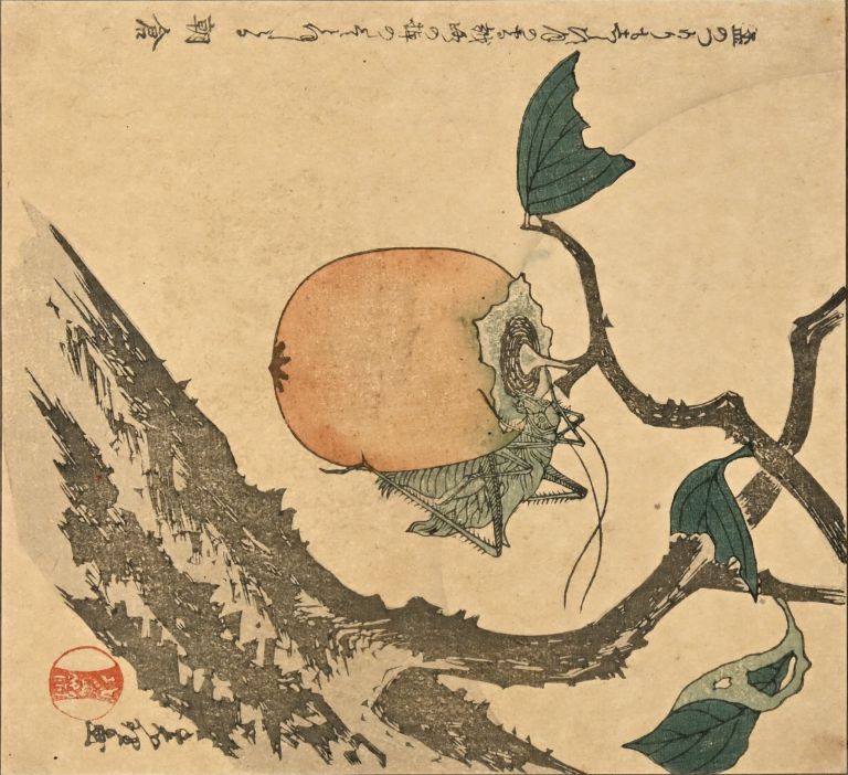 AUJ 70_Inv. 4841_Lipparini 2024_CD MM 119